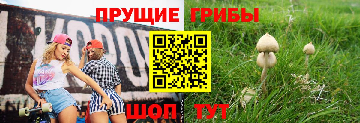 Псилоцибиновые грибы Magic Shrooms Ярославль