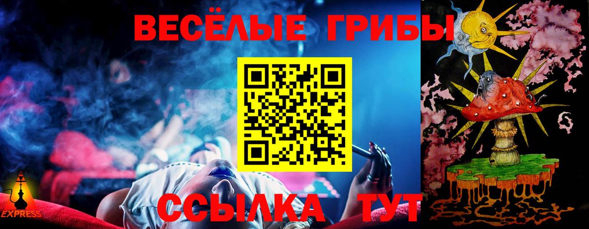 Галлюциногенные грибы Cubensis  Псилоцибиновые грибы GOLDEN TEACHER  Ярославль  Вход с VPN 